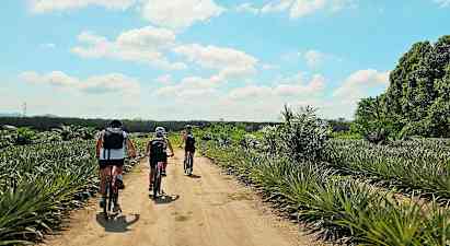 Tre personer cyklar på en grusväg genom ett tropiskt landskap. (AI-genererad text)