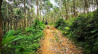 Det genuina Thailand på cykel från Phuket