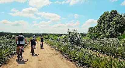 Norra Phuket på cykel