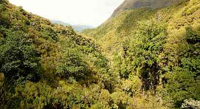 Levada Caldeirao Verde  - 13 km
