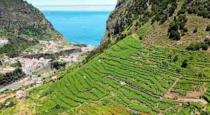 Jeepsafari Wine & Sky walk - norra Madeira