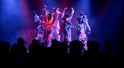 The Olé Flamenco Show - Platinum package