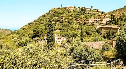 Mallorca - kontrasternas ö till kampanjpris!