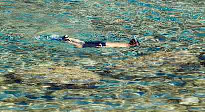 Snorkling Nord