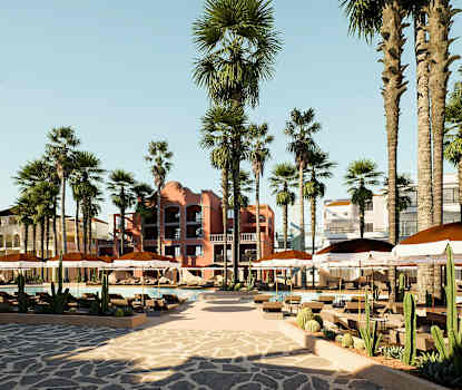 Bilden är en illustration och kan komma att ändras