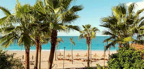 Strand med palmer i förgrunden och havet i bakgrunden. (AI-genererad text)