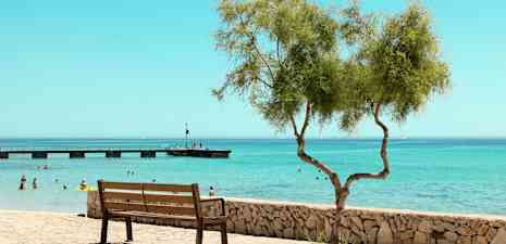 En parkbänk vid en stenmur med ett ensamt träd i förgrunden, och människor badar i havet med en brygga i bakgrunden. (AI-genererad text)