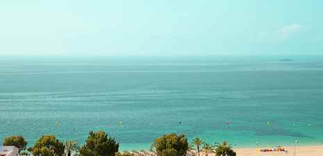 Vy över en strand med sand, träd och hav. (AI-genererad text)