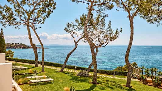 Vy över havet med träd, gräsmatta och solstolar i förgrunden. (AI-genererad text)