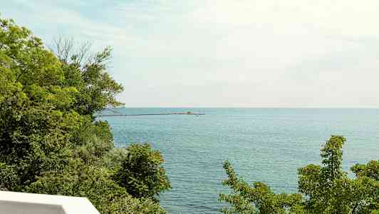 Utsikt över havet med grönska i förgrunden och en brygga som sträcker sig ut i vattnet. (AI-genererad text)