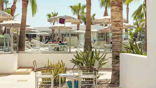 Solstolar och parasoller vid ett poolområde omgivna av palmer. (AI-genererad text)