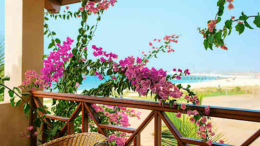 Balkong med trästaket dekorerad med rosa blommor och utsikt mot en strand och hav. (AI-genererad text)