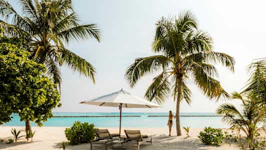 Strand med solstolar, parasoll, palmträd och turkost hav. (AI-genererad text)