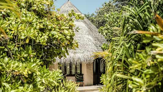 En bungalow med halmtak omgiven av tropiska växter. (AI-genererad text)