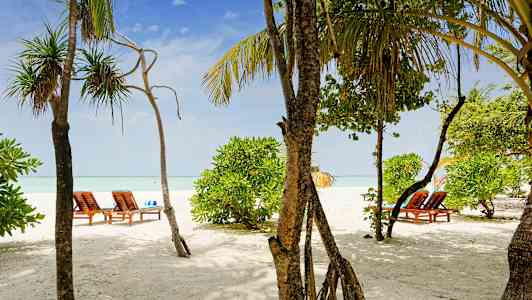 En sandstrand med solsängar och gröna träd. (AI-genererad text)