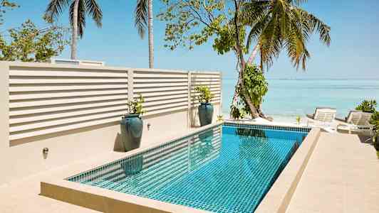 En pool vid havet omgiven av palmer och solsängar. (AI-genererad text)