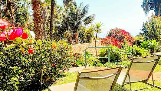 Solstolar på en gräsmatta omgivna av färgglada blommor och palmer. (AI-genererad text)