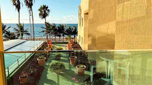Vy över en terrass med blomkrukor, med palmer och havet i bakgrunden. (AI-genererad text)