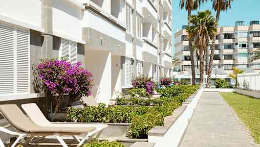 Bild på en vit byggnad med lila blommor och solstolar vid en gångväg. (AI-genererad text)