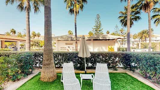 Två vita solstolar med ett parasoll mellan på en gräsmatta, omgärdade av palmer och byggnader i bakgrunden. (AI-genererad text)