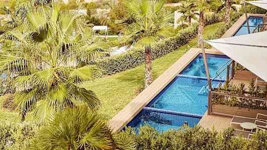 Bild på en pool omgiven av grönska och palmer. (AI-genererad text)