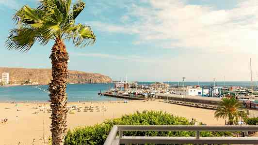 En strand med solstolar och parasoller, en hamn med båtar och en palm i förgrunden. (AI-genererad text)