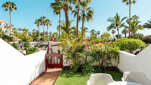 Utsikt från en grönskande trädgård med palmer och buskar, inramad av vita väggar. (AI-genererad text)