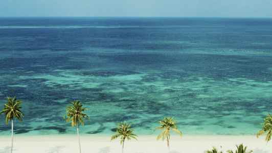 Vit sandstrand med palmer och tydliga vågor i det turkosa havet. (AI-genererad text)