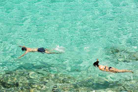 Två personer snorklar i klart turkost vatten. (AI-genererad text)