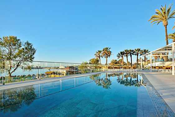 Utomhuspool med utsikt över palmer och en klarblå himmel. (AI-genererad text)