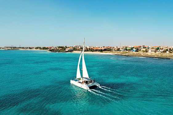 En katamaran med vita segel färdas över turkost vatten nära en kust med hus i olika färger. (AI-genererad text)