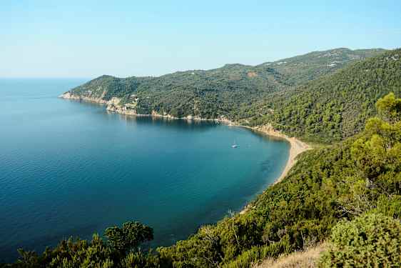 En kuststräcka med en vik omgiven av gröna berg och klarblått hav. (AI-genererad text)