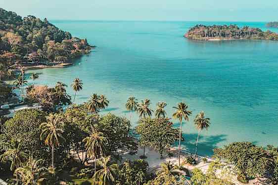 Strand med palmer med klarblått hav och en liten ö i bakgrunden. (AI-genererad text)