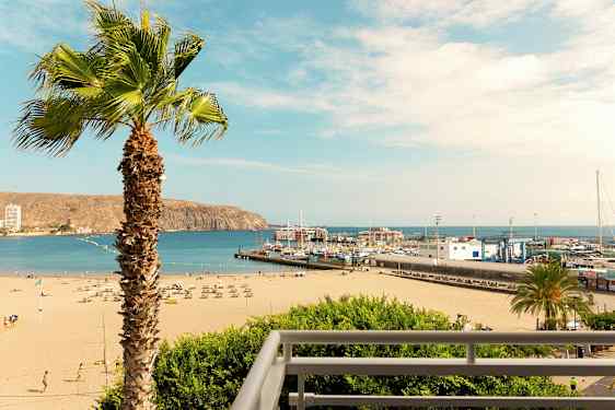 En strand med solstolar och parasoller, en hamn med båtar och en palm i förgrunden. (AI-genererad text)