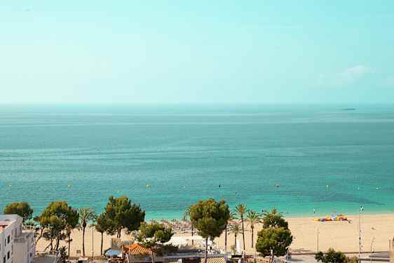 Vy över en strand med sand, träd och hav. (AI-genererad text)