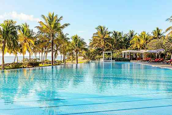 En pool med klart vatten omgiven av palmer och solstolar under en klar himmel. (AI-genererad text)