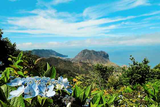 Vy över ett bergslandskap med blå himmel och blommor i förgrunden. (AI-genererad text)