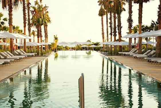 En avlång simbassäng omgiven av solstolar med parasoller och palmer. (AI-genererad text)