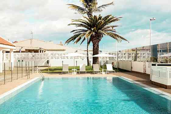 Utomhuspool med solstolar och parasoll samt en palm i bakgrunden. (AI-genererad text)