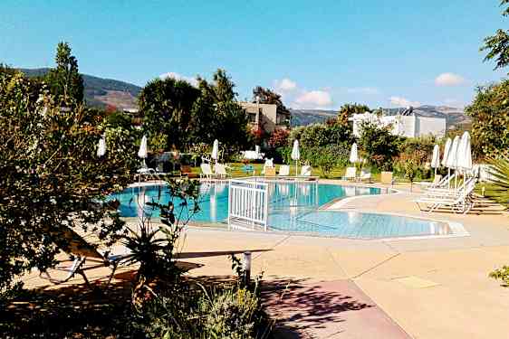 En utomhuspool omgiven av solstolar och parasoller, med grönska i bakgrunden. (AI-genererad text)