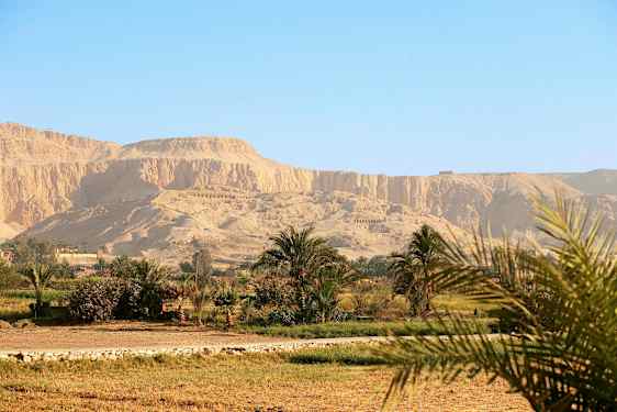 Ökenlandskap med berg i bakgrunden och grönska i förgrunden. (AI-genererad text)