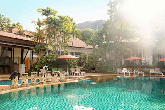 Utomhuspool med solstolar och parasoller, omgiven av grönskande träd. (AI-genererad text)