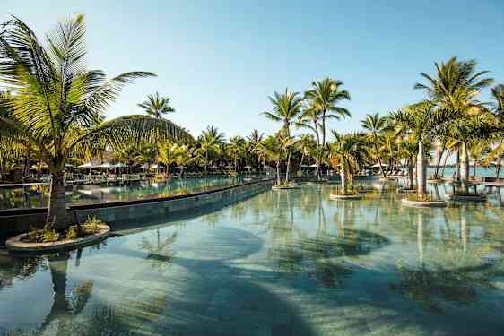 En stor swimmingpool omgiven av palmer under en klarblå himmel. (AI-genererad text)