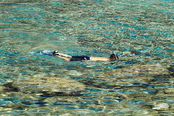 Person med snorkel simmar i klart vatten. (AI-genererad text)