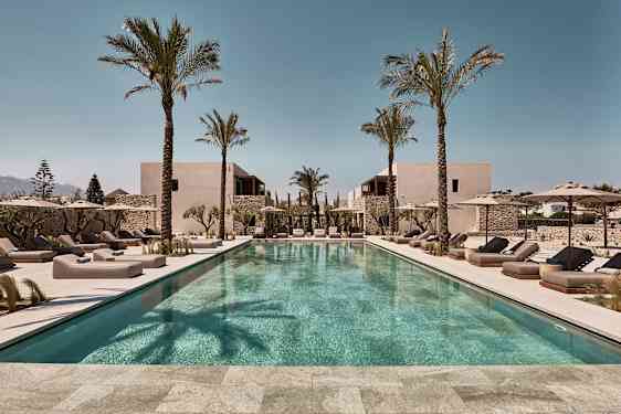 En rektangulär utomhuspool omgiven av solstolar och parasoller, med palmer och byggnader i bakgrunden. (AI-genererad text)