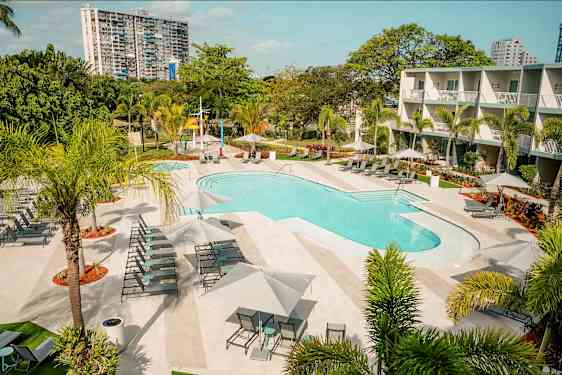 Utomhuspool med solstolar och parasoller, omgiven av träd och gröna växter. (AI-genererad text)