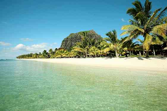 En strand med klart vatten, omgiven av palmer och en klippa i bakgrunden. (AI-genererad text)