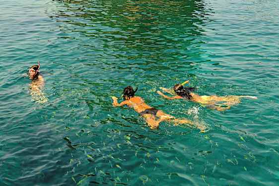 Personer som snorklar i klart vatten med fiskar omkring. (AI-genererad text)