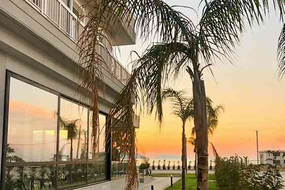 En byggnad med glasfönster och palmer i förgrunden vid solnedgång. (AI-genererad text)