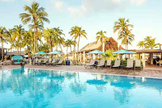 Poolområde med solstolar, parasoller och palmer i bakgrunden. (AI-genererad text)